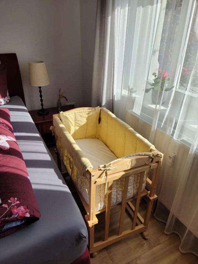 Zum Eulennest Apartment Dresden