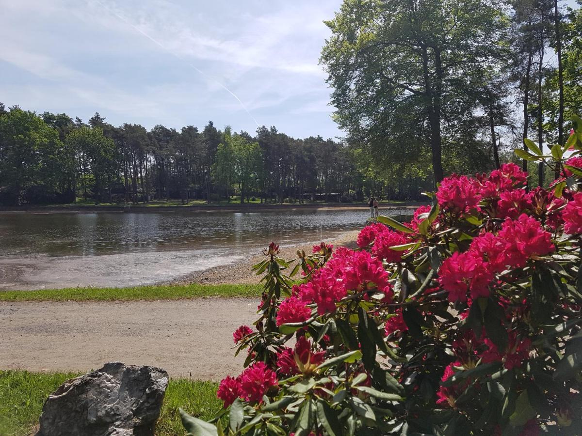 Zum Eulennest Apartamento