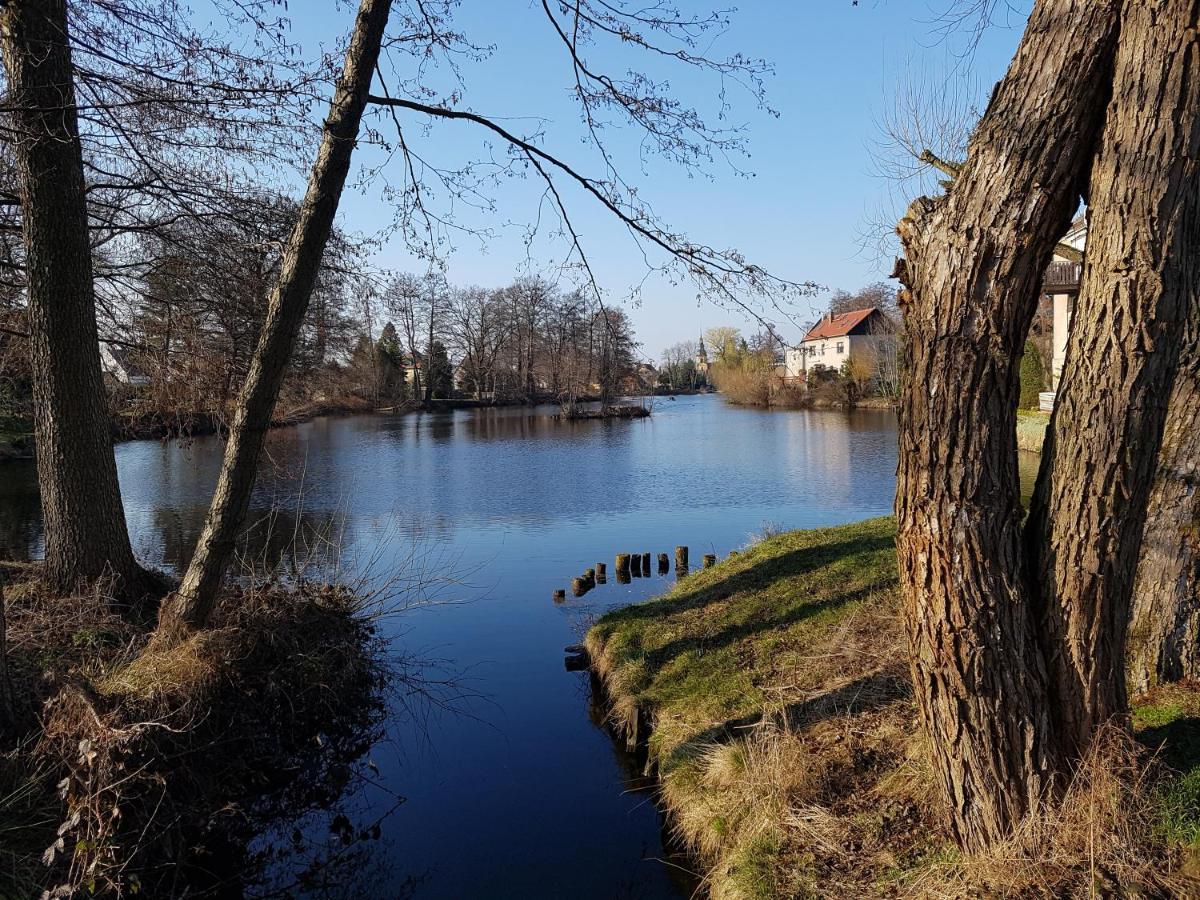Zum Eulennest * Dresde